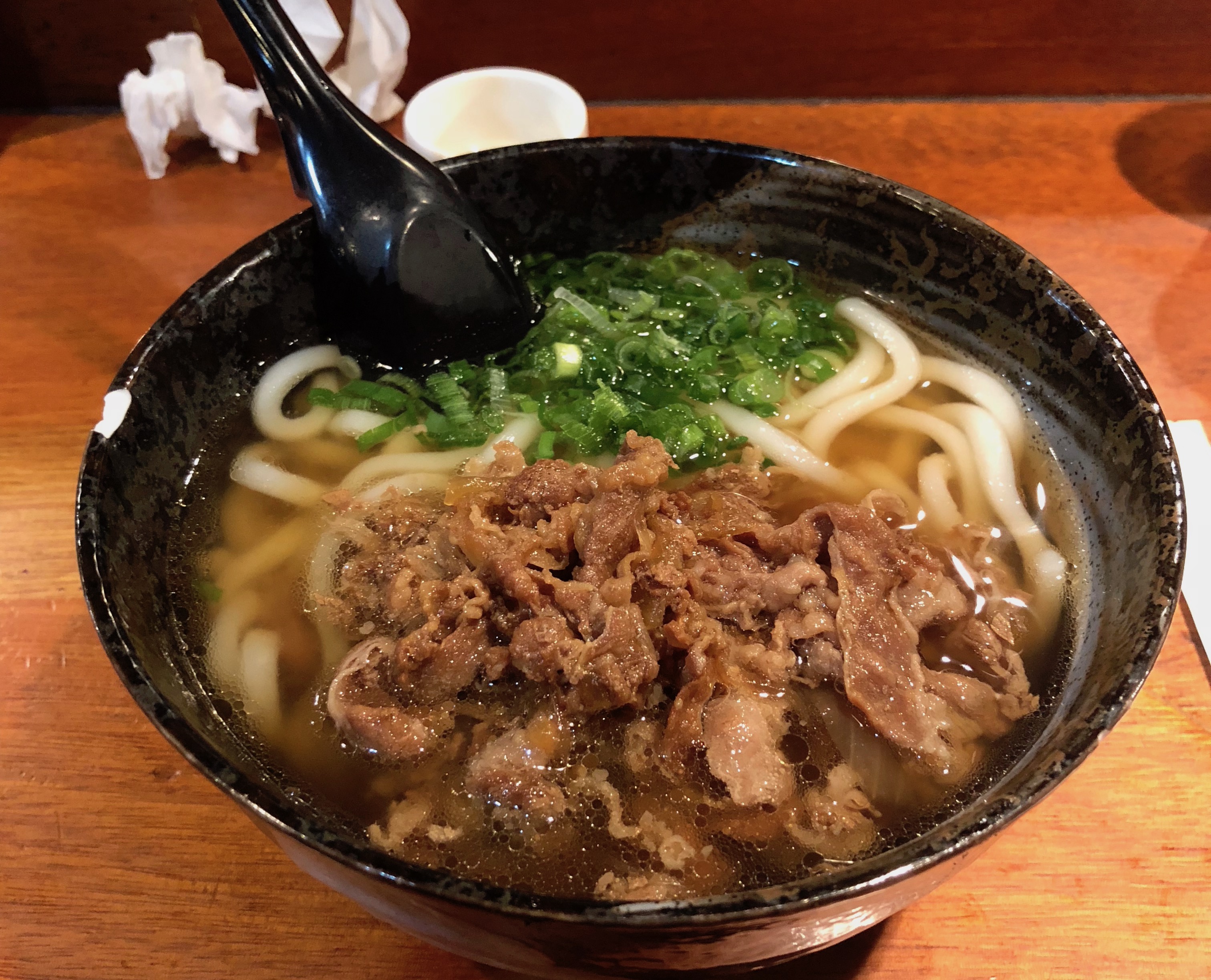 Niku Udon